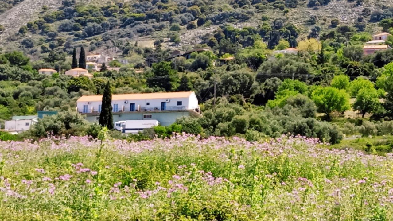 Aelia Sea Apartment Argostoli  Bagian luar foto