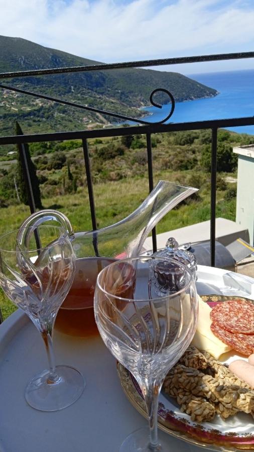 Aelia Sea Apartment Argostoli  Bagian luar foto